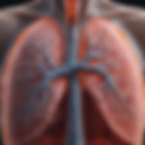 Illustration of lung anatomy highlighting asthma effects