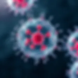 Diagram illustrating B cell differentiation into plasma cells