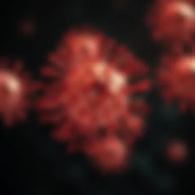 Interaction of B cells with T cells and antigen-presenting cells