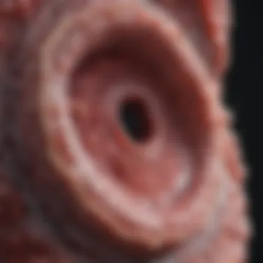 Microscopic view of colon polyps highlighting characteristics