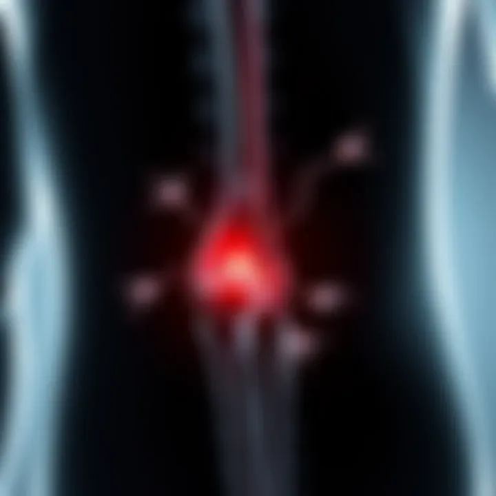 Mechanisms of Proteins in Arthritis Pain Graphical representation of protein mechanisms affecting arthritis pain