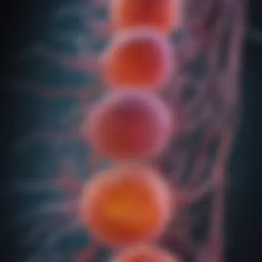 Graph illustrating the relationship between trypsin concentration and cell viability