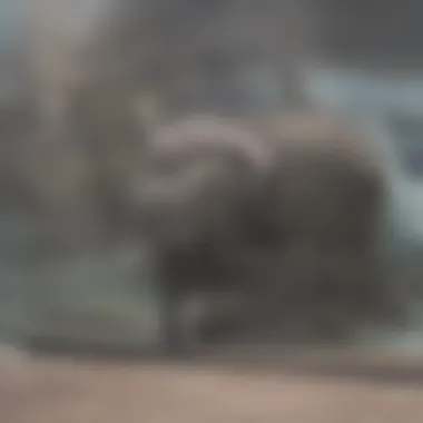 Conservation Efforts to Protect Indian Elephants Conservation efforts for Indian elephants