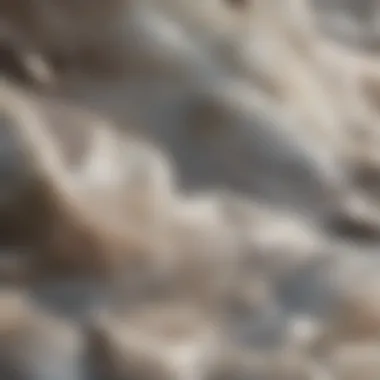 The Impact of Drought on African Landscapes A barren landscape showcasing the effects of severe drought in Africa.
