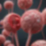 Pathophysiology of Thrombosis with Thrombocytopenia Syndrome