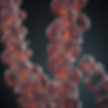 Topoisomerase Mechanism in Cloning Diagram illustrating topoisomerase action in cloning