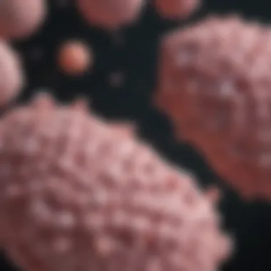 Clinical Efficacy of Trastuzumab Duocarmazine Graph showcasing clinical efficacy of trastuzumab duocarmazine in HER2-positive cancer treatment.