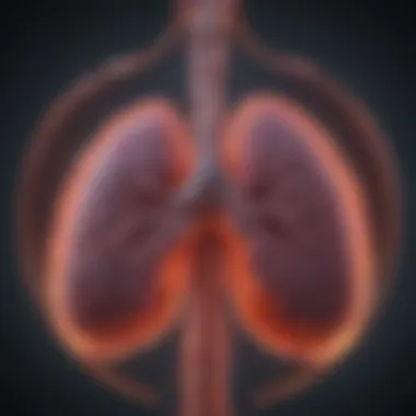 Innovative Treatment Strategies for Both Cancers A visual representation of treatment options available for pancreatic and lung cancers, including chemotherapy and targeted therapies.