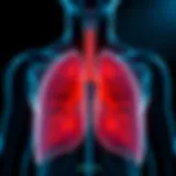 An illustration depicting the respiratory system affected by asthma