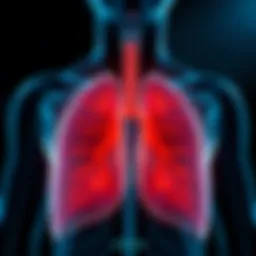 An illustration depicting the respiratory system affected by asthma