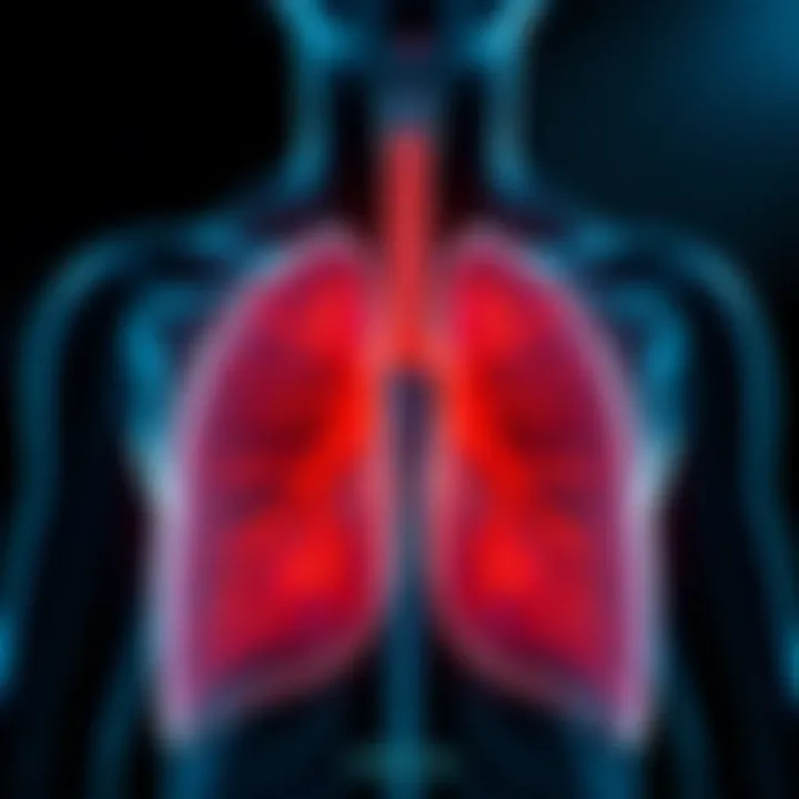 An illustration depicting the respiratory system affected by asthma