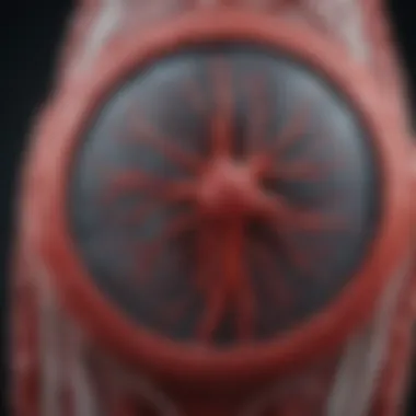 Innovative Imaging Techniques for Vascular Health Advanced imaging technology for vascular diagnostics