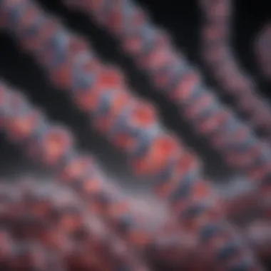 Gene structure illustration showcasing BRCA mutations