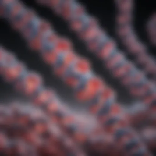 Gene structure illustration showcasing BRCA mutations