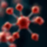 The Molecular Architecture of Bupropion Molecular structure of bupropion