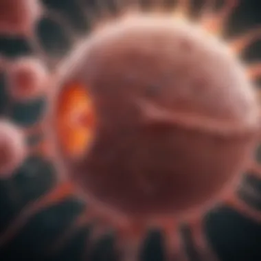 Cancer Cell Invasion Visual representation of cancer cell invasion into surrounding tissues