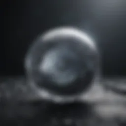 Conceptual representation of carbon budgets