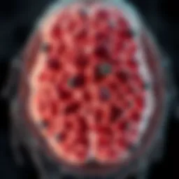 Illustration of Diffuse Intrinsic Glioma pathology