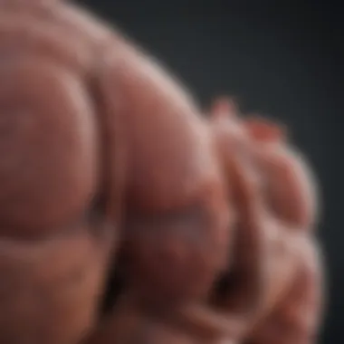 Assessing Liver Health Liver health assessment