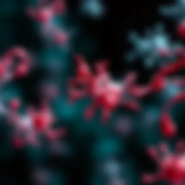 Molecular Markers in Endometrial Cancer Prognosis Molecular markers influencing prognosis in endometrial cancer