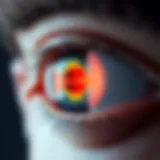 Schematic representation of the eye anatomy highlighting intraocular pressure