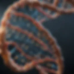 DNA double helix model illustrating genetic structure