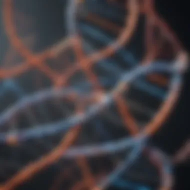 The Structure of DNA and Its Role in Genetic Testing Detailed representation of DNA helix illustrating genetic information.