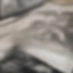 A detailed diagram illustrating the different types of genetic testing panels used in epilepsy diagnosis.