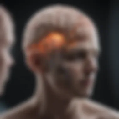 Tumor Progression in Brain Imaging Brain imaging showcasing tumor progression