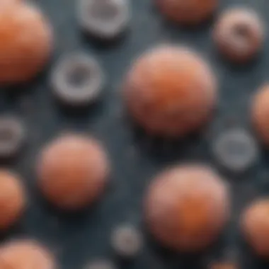 Microscopic Structure of Glioblastoma Microscopic view of glioblastoma cells