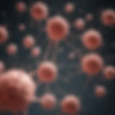 Interactions of Granzyme B with Cancer Cells GZMB interactions with cancer cells