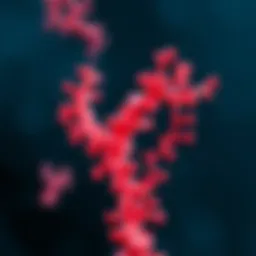 Illustration of the HIV P24 antigen structure