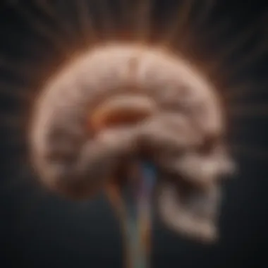 Brain Inflammation in Multiple Sclerosis Diagram illustrating the impact of brain inflammation on multiple sclerosis
