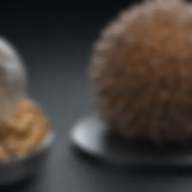 Technological Evolution in Electron Microscopy Visual comparison of electron microscopy advancements over previous models