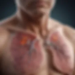 Diagram illustrating the progression of Idiopathic Pulmonary Fibrosis
