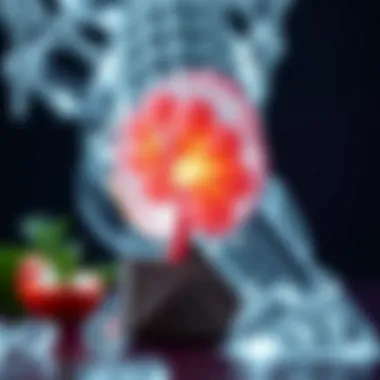 Impact of Diet on Kidney Stone Risk Dietary influences on kidney stone risk