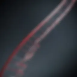 Lambda DNA Ladder visualization in gel electrophoresis