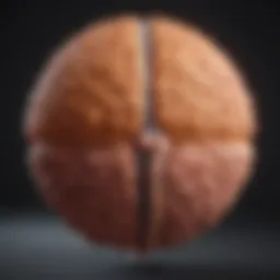 An infographic illustrating bladder cancer survival rates across different stages.