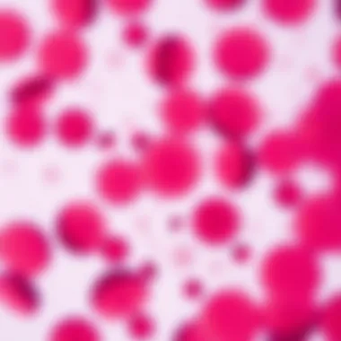 Microscopic view of platelets