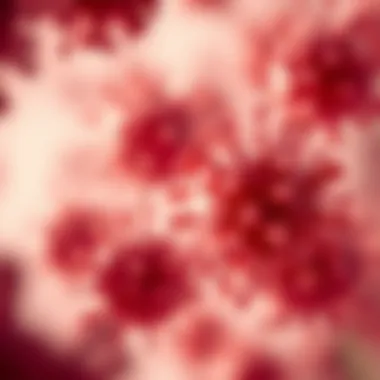 Transition of Cancer Cells Microscopic view of cancer cells transitioning to metastasis