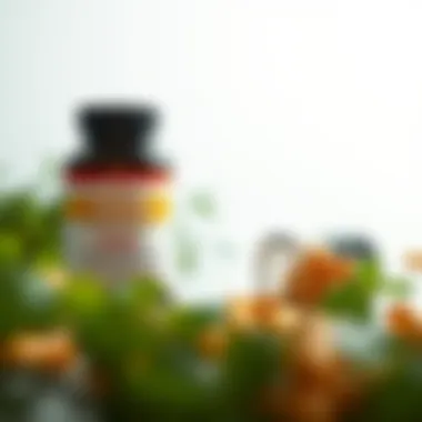 Comparative Analysis of NMN, NAD+, and NR Comparative analysis of NMN, NAD+, and NR supplements