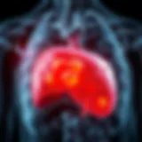 Illustration depicting liver with fat accumulation