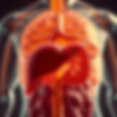 Pathophysiology of NAFLD Diagram showcasing the pathophysiology of NAFLD