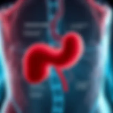 Diagram illustrating acute pancreatitis symptoms