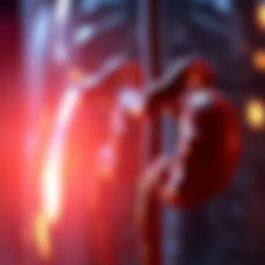 Visual representation of pancreatitis treatment options