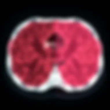 Healthy vs. Cancerous Tissue Comparison image showing healthy tissue versus cancerous tissue in PET scans