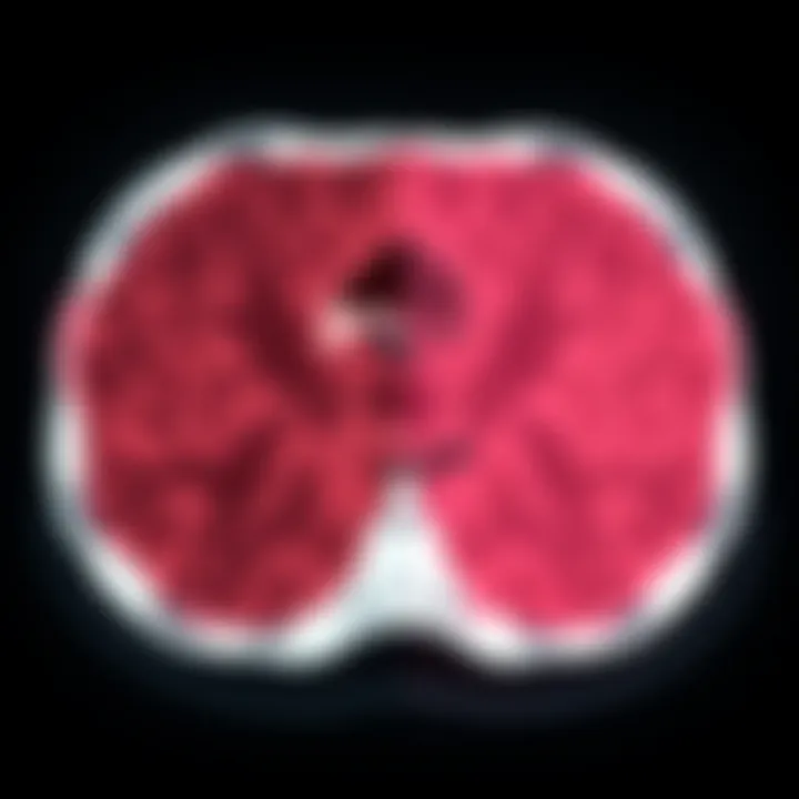 Healthy vs. Cancerous Tissue Comparison image showing healthy tissue versus cancerous tissue in PET scans