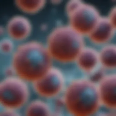 Microscopic Examination of Prostate Cancer Microscopic view of prostate cancer cells