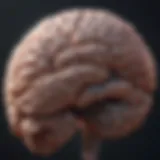An abstract depiction of a brain affected by trauma