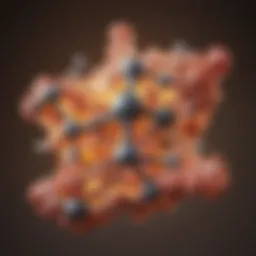 Structural representation of purines